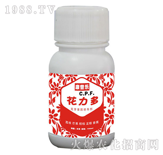 �����ࣨ��ѿ�����T��(d��o)����-�r(n��ng)�_����