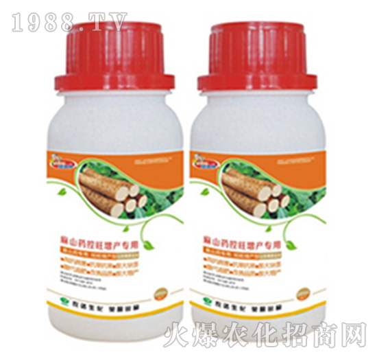 ��ɽˎ�������a����-������-�r�_����