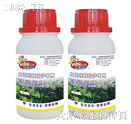 �󶹿������a(ch��n)��(zhu��n)��-������-�r(n��ng)�_(d��)����