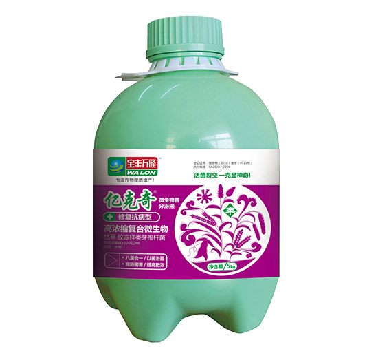 �ޏ�(f��)������-�|����-���S�f(w��n)¡