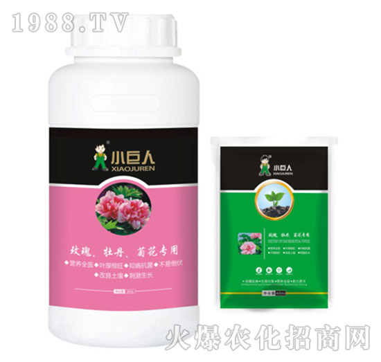 õ����ĵ�����ջ������{(di��o)��(ji��)��-С����