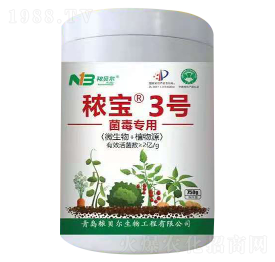 ��������-����3̖-��ؐ��