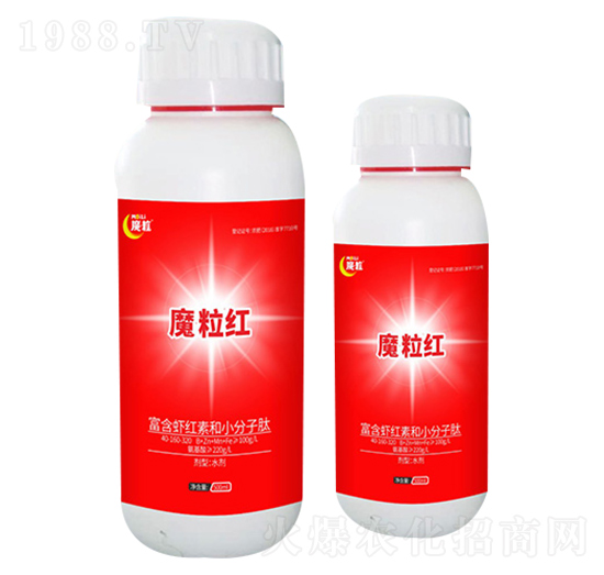 ħ���t-ħ���ʘI(y��)