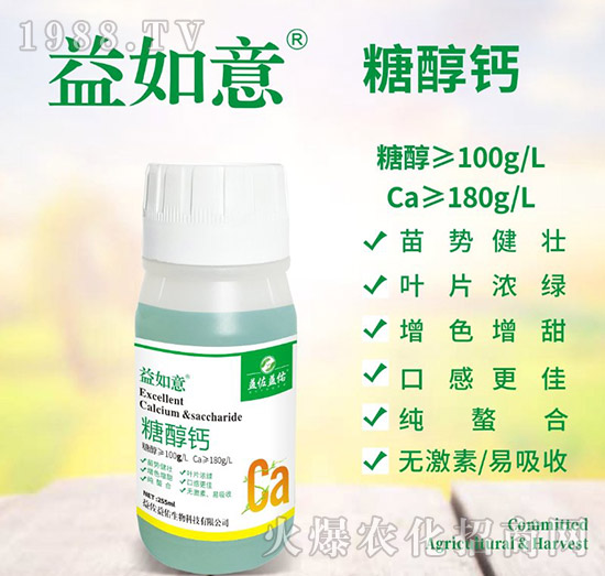 �Ǵ��}-������-��������