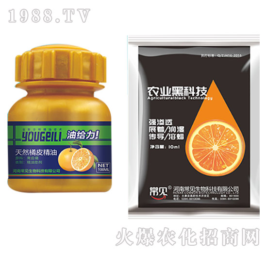 ��Ȼ��Ƥ����-��ʯ����