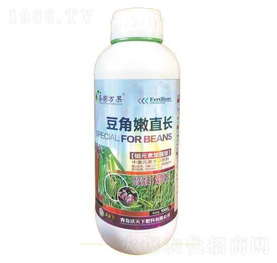 ������ֱ�L(zh��ng)-ʥ���f(w��n)��-������