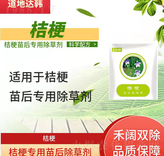 �۹����݄�-�۹����-�۹�����-���n