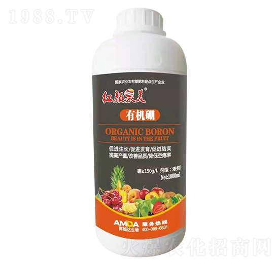 �ЙC(j��)��-�t���-��ķ�_(d��)