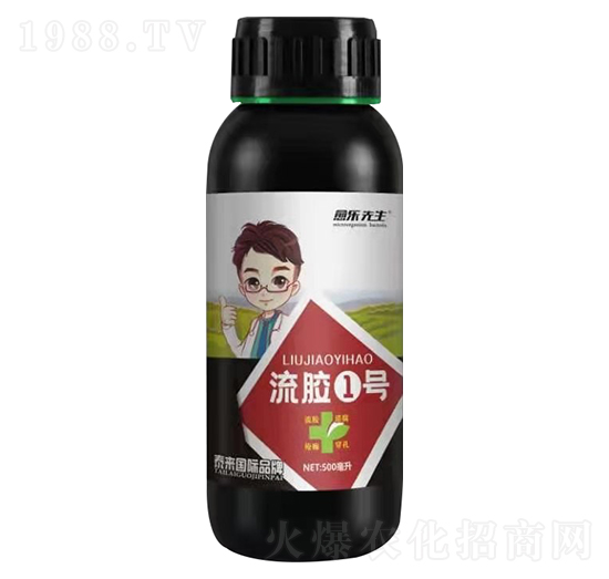 500�������z1̖ �������� ̩����H