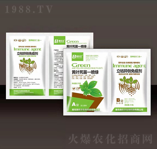 �S�~����һ���G+����⧵����߄�-嫘���