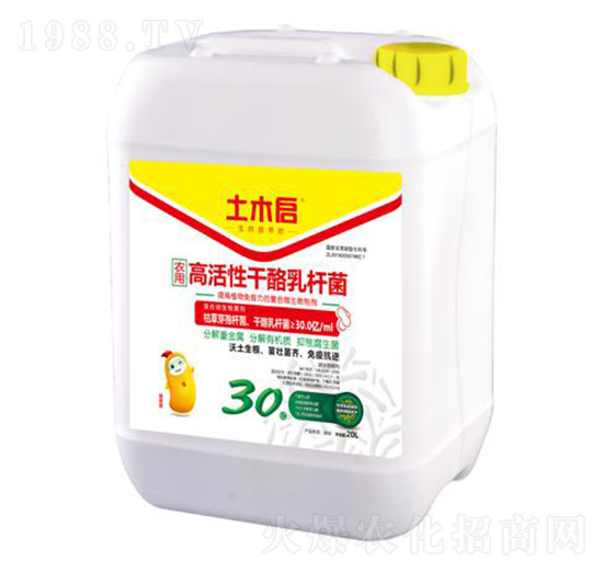 �߻��Ը�����U�� ��ľ������