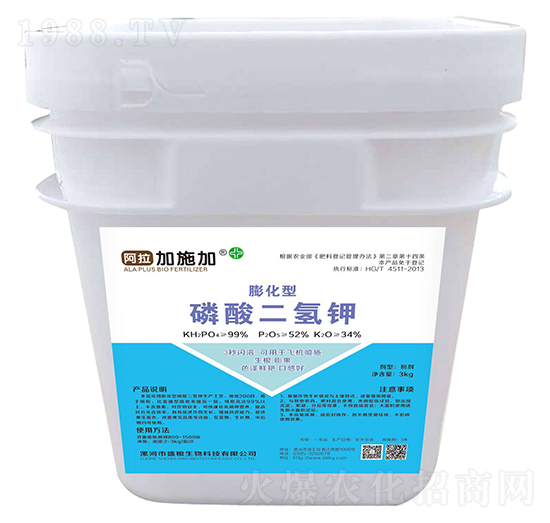 ������������-������ʩ��-ʢ�Z����