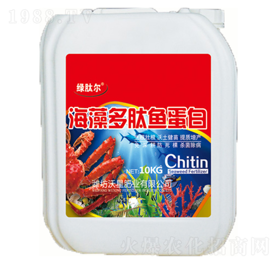 ��������~(y��)����-���ǷʘI(y��)