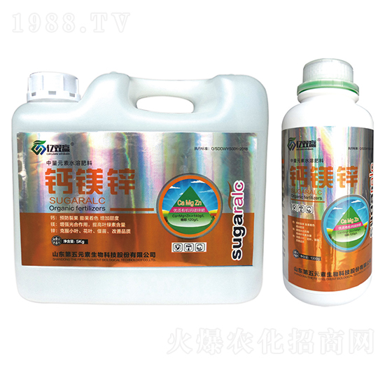 �}�V�\-�|�p�A-����Ԫ��