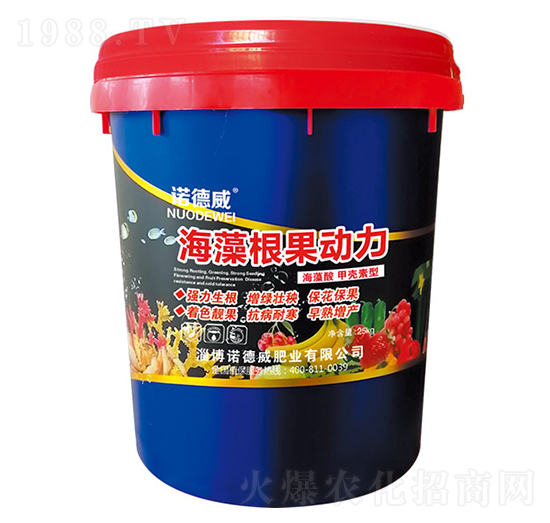 �����������-�Z����