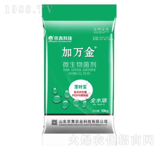 �o�~��΢�������-���f��-����Ƽ�