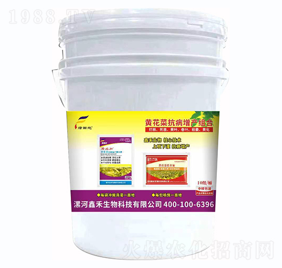 黃花菜抗病增產組合-綠田地-鑫禾生物
