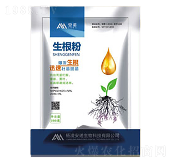 ������-���Z����