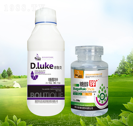 �Ǵ��\-������