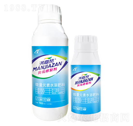 �S���ޏ̈́�-�M��ٝ-�B������