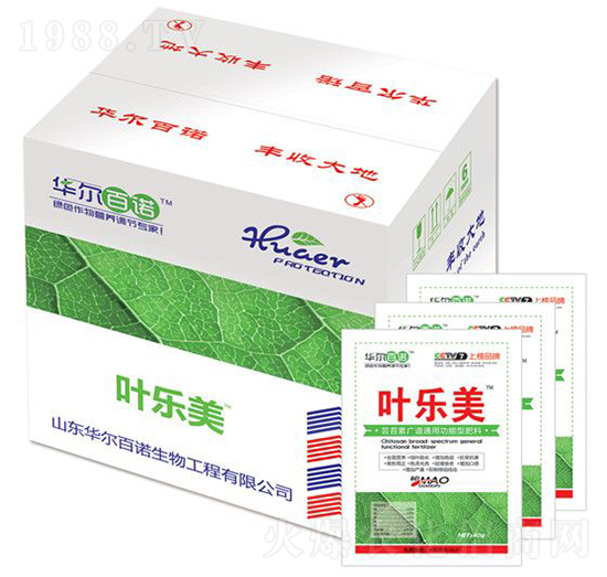 �~��(l��)��-�A�����Z