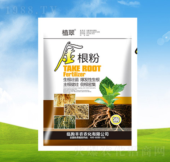 ���y��-ֲ��-�S�r�r��