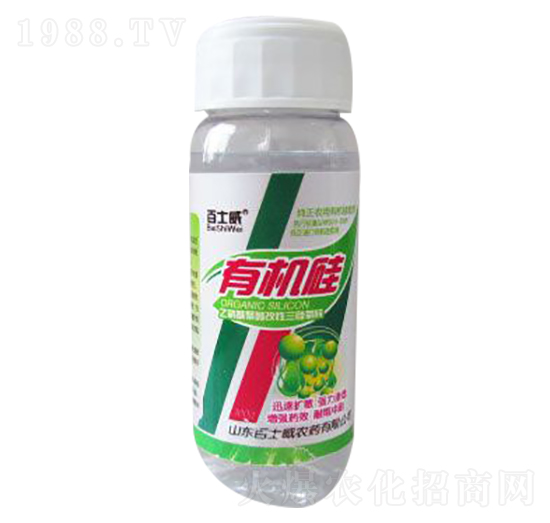 �ЙC(j��)�裨ƿ��-��ʿ��