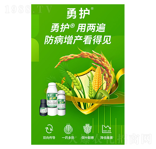 ���o(h��)-�����A��