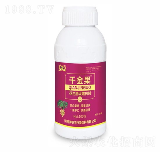 ����������ׄ�-ǧ���-�������r