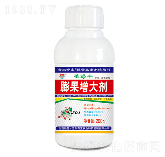 200���������-���r�挚