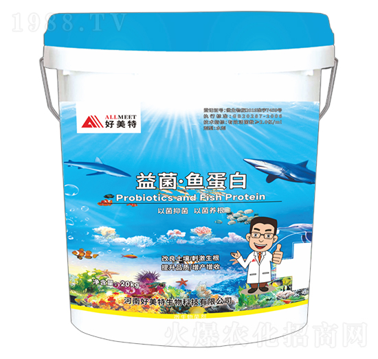 ������~����-������