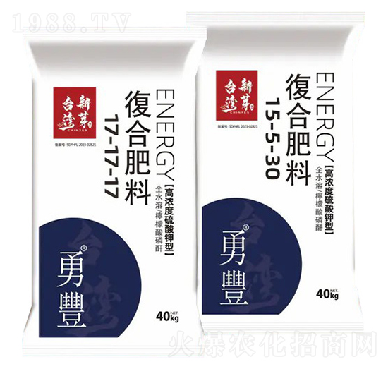 �ߝ��������͏�(f��)�Ϸ���-����