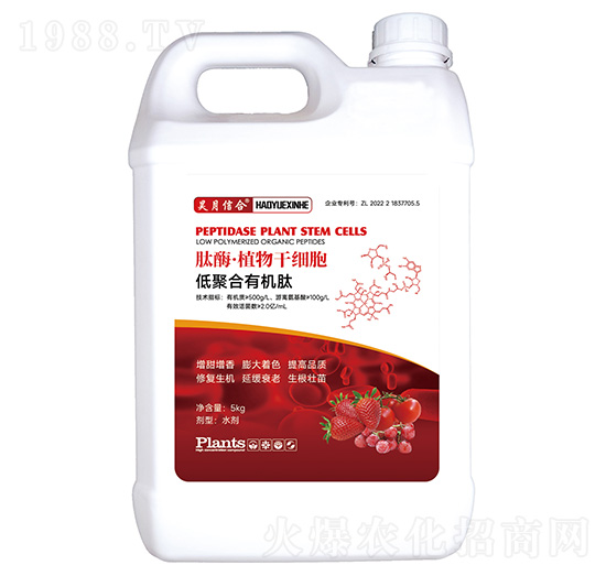 ��ø��ֲ��ɼ���-����ź�