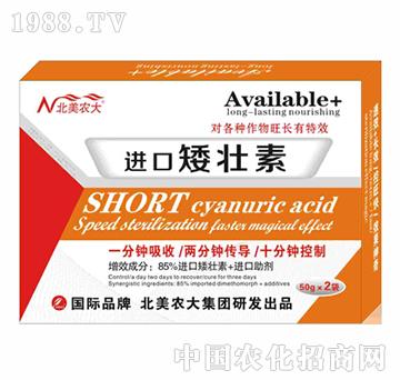 �M�ڰ�����-�����r��