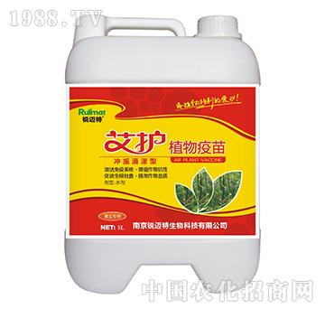 ���oֲ������_ʩ�ι���