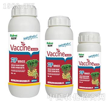 ���oֲ�����绨���󶹌�