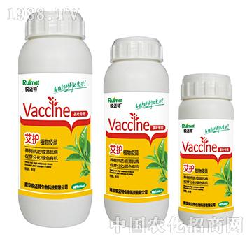 ���oֲ��������~����-