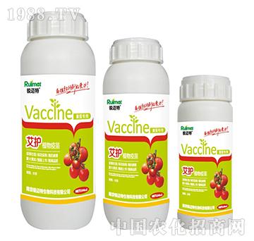 ���oֲ�����緬�ь���-