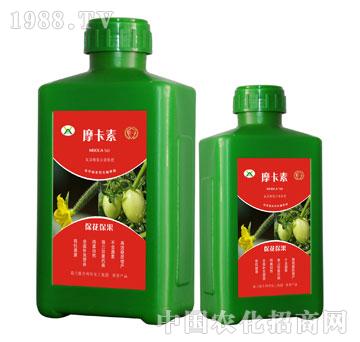 ������������������Һ��