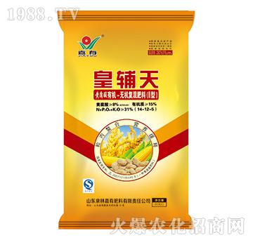 ���o���S�����ЙC-�o�C