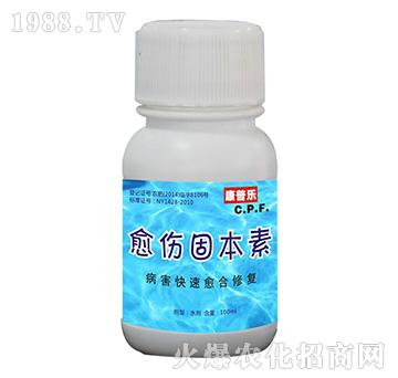 �����̱���-�r(n��ng)�_(d��)����