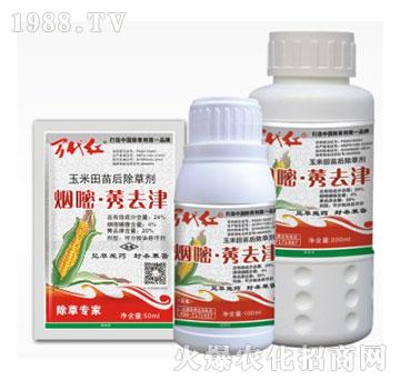 24%����.ݬȥ��-�f