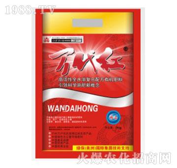 �f���t�_ʩ��-�G��