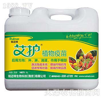 ���oֲ������-�J�~��