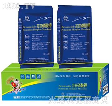 �|̦�����-�滯���h(yu��n)