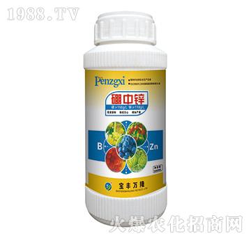 �����\-���S�f(w��n)¡