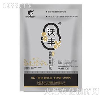 ��(d��ng)�ﵰ��������-���S�f(w��n)