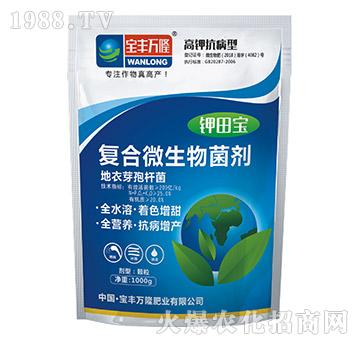 ��⛿����͏�(f��)��΢�������-��-���S�f(w��n)¡