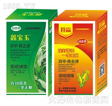 �Ό���+���A-�����Ѻ�