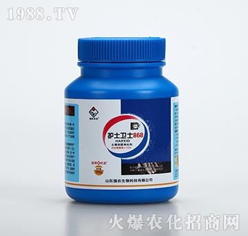 �o���l(w��i)ʿ868-���r(n��ng)����